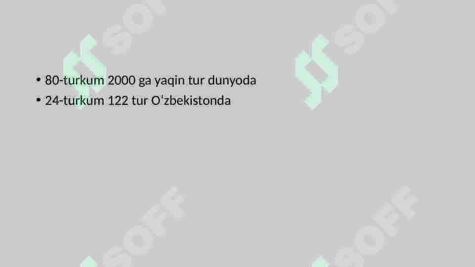 chinniguldoshlar 4