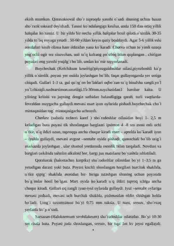 O`zbekistonning tog`, cho`l dashtlarida o`sadigan o`simliklari 4