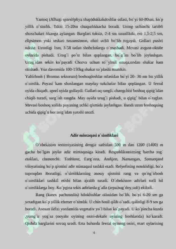 O`zbekistonning tog`, cho`l dashtlarida o`sadigan o`simliklari 6