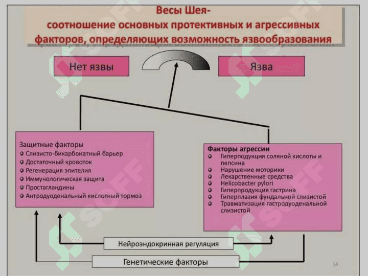 Язвенная болезнь желудка и  двенадцатиперстной 6