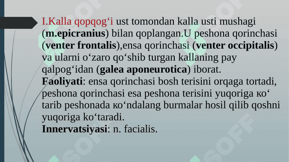 Bosh mushaklari. Chaynov va mimika mushaklari 3