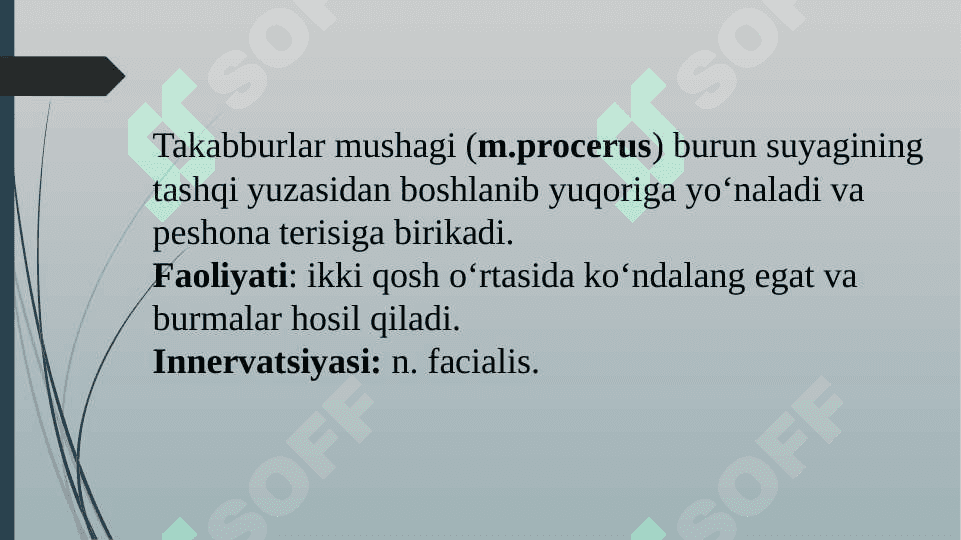 Bosh mushaklari. Chaynov va mimika mushaklari 6