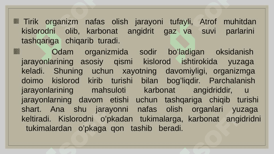Nafas olish fiziologiyasi 2