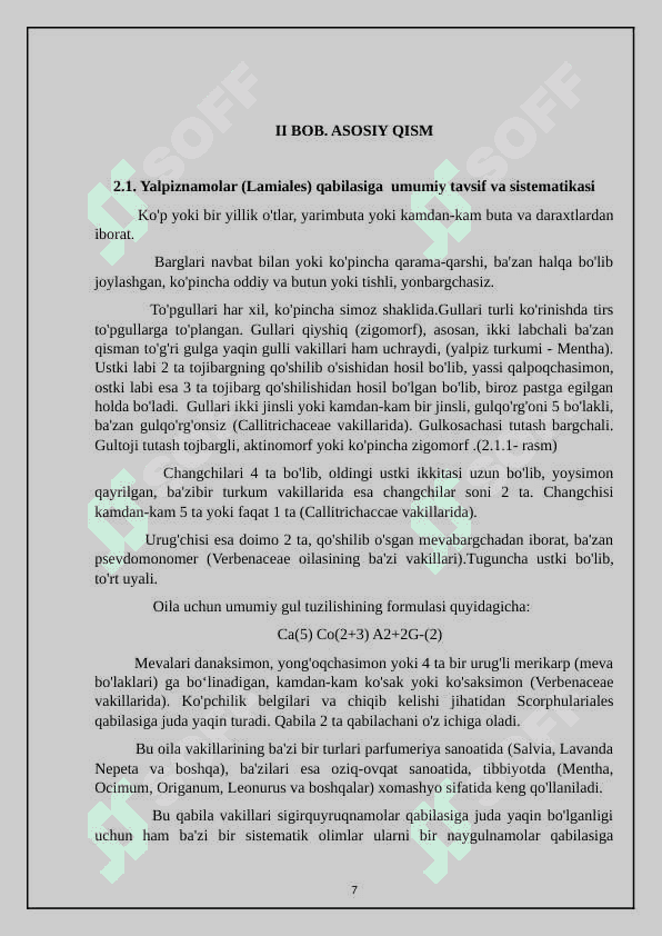 Yalpiznamolar qabilasi-lamiaceae 7