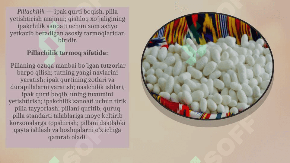 Pillachilikni tashkil etish 3