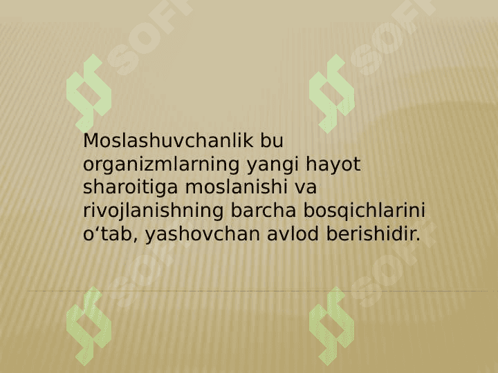 Moslashuvga tayyor bo'lish 4