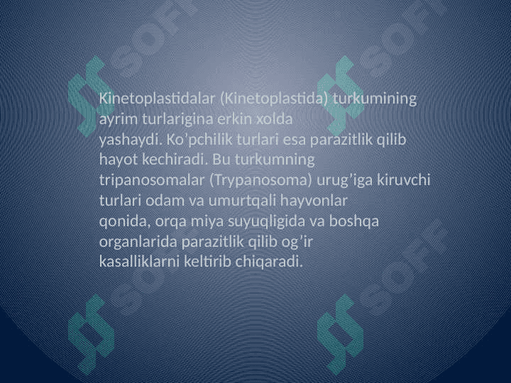 Xivchinlilar - odam parazitlari: tripanasoma, leyshmaniya, trixomonada va lyambliya. 3