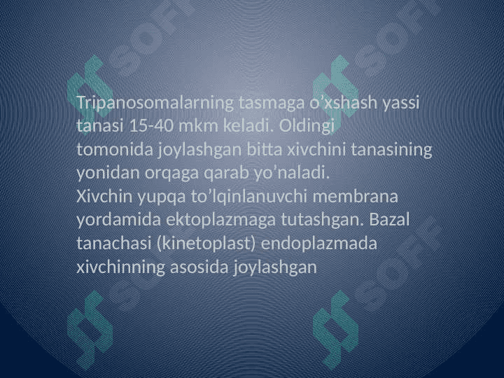 Xivchinlilar - odam parazitlari: tripanasoma, leyshmaniya, trixomonada va lyambliya. 5