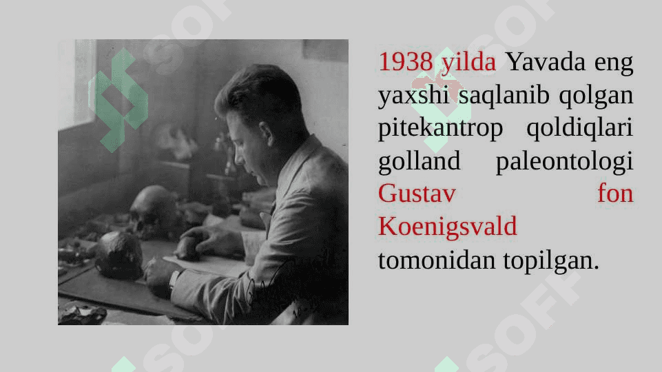 Paleontropologik va etnografik ma’lumotlarning o‘lka tarixini o‘rganishdagi ahamiyati 8