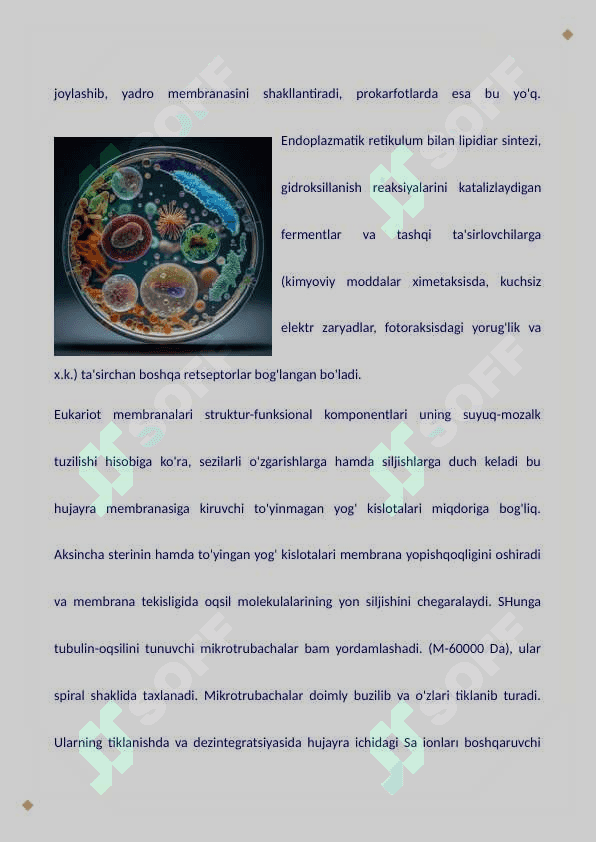Bakteriyalarning doimiy bo'lmagan kiritmalari va ularning bakteriyalardagi xususiyatlari bakteriyalarning nafas olishi 5