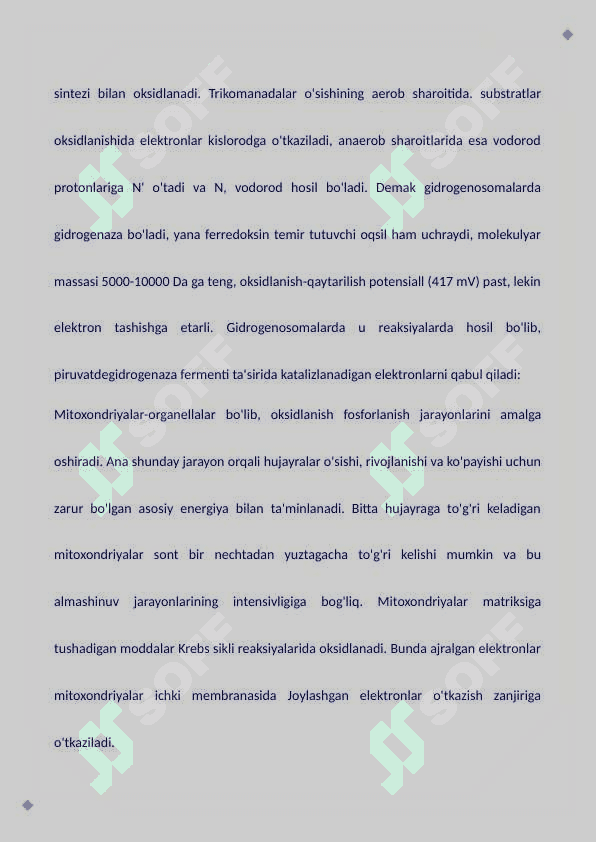 Bakteriyalarning doimiy bo'lmagan kiritmalari va ularning bakteriyalardagi xususiyatlari bakteriyalarning nafas olishi 8