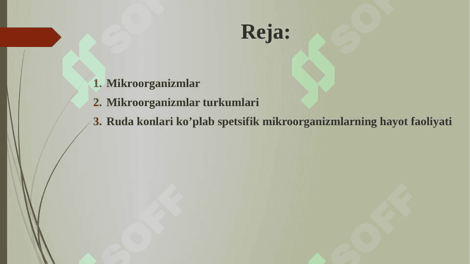 Mikroorganizmlar ularning turlari qo‘llanilish sohalari 2