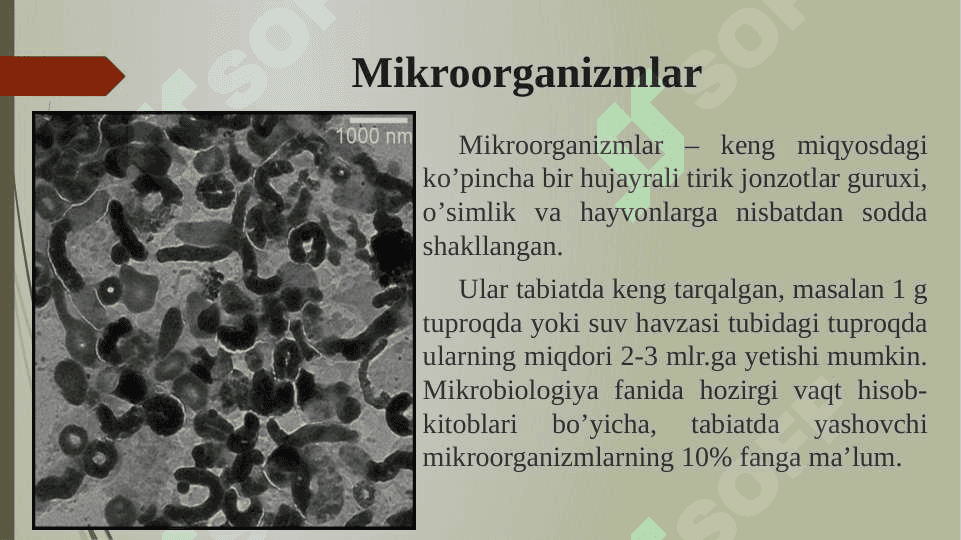 Mikroorganizmlar ularning turlari qo‘llanilish sohalari 3