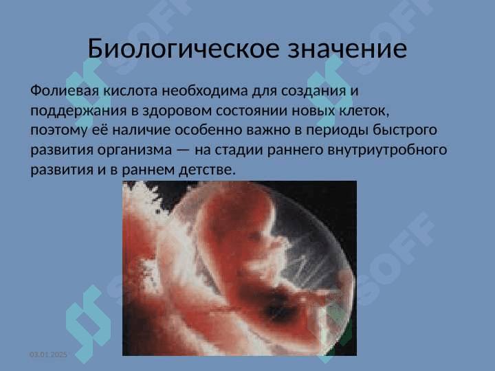 Фолиевая кислота 6