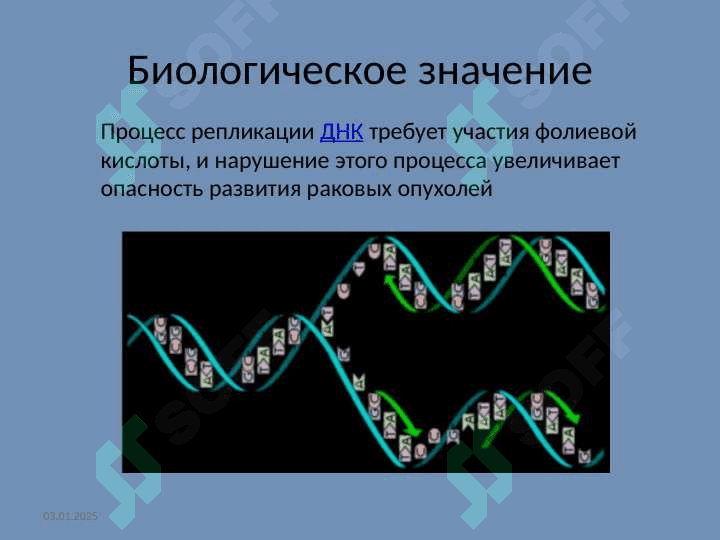 Фолиевая кислота 7