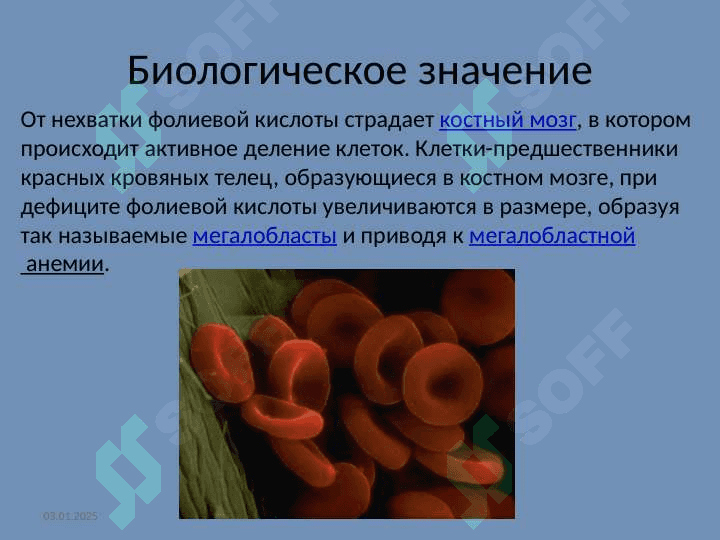 Фолиевая кислота 8
