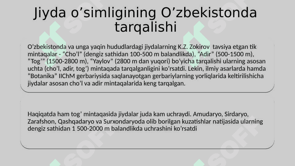 JIYDANAMOLAR 3