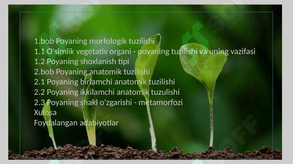 POYANING MORFOLOGIK VA ANOTOMIK TUZILISHI 2