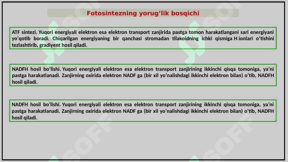 FOTOSINTEZNING TABIATDA TUTGAN O’RNI 8