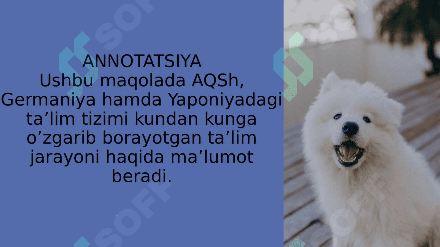 Prezentatsiya 2
