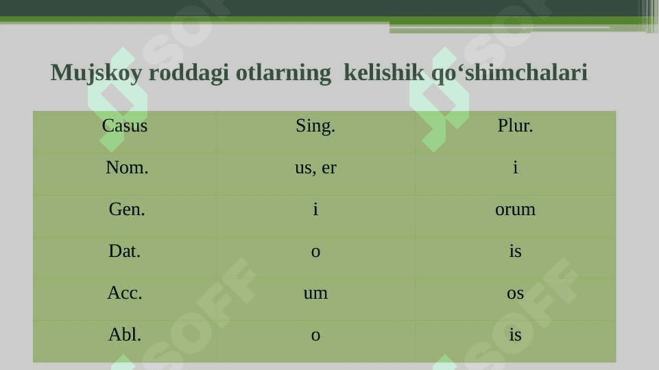 II turlanishdagi mujskoy va jenskiy roddagi otlar 4