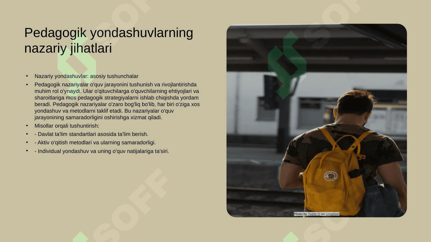 Maxsus pedagogik sohadagi yetuk olimlarning pedagogik yondashuvlari 4