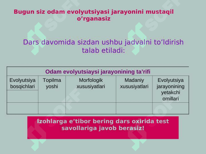 Odamning  paydo bo'lishi 3