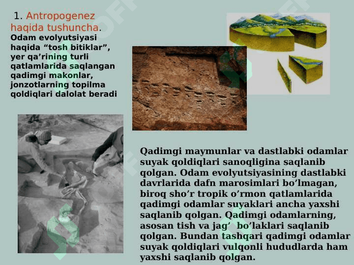 Odamning  paydo bo'lishi 4