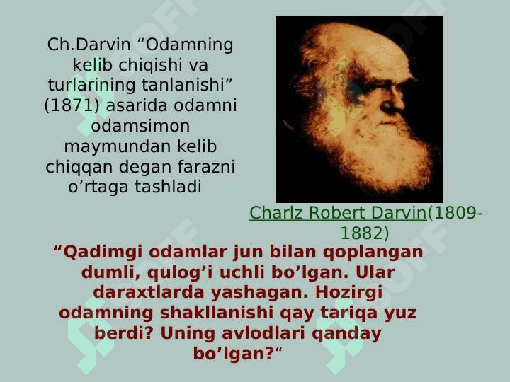 Odamning  paydo bo'lishi 5