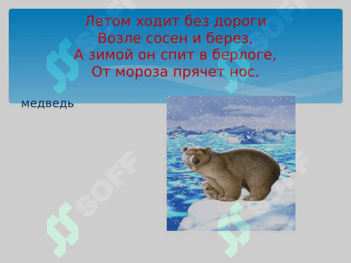 Склонение имён существительных 3