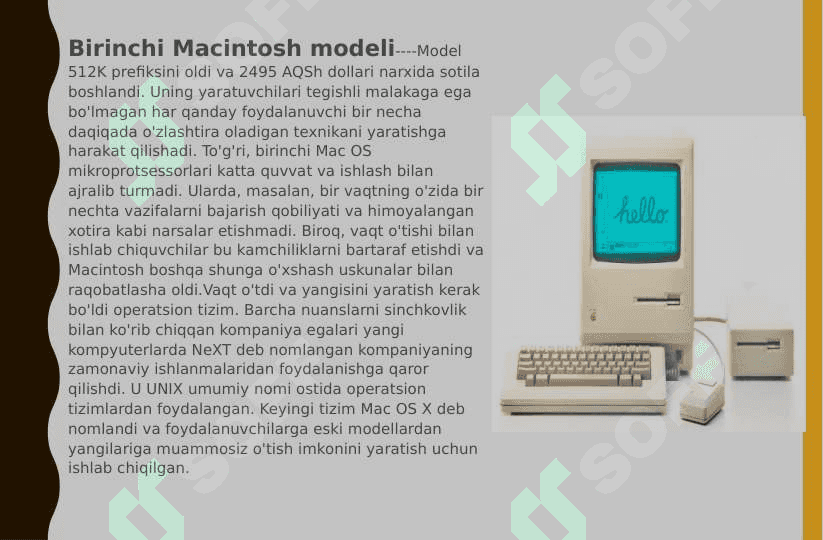 Apple brendi 3