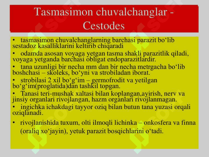 Tasmasimon chuvalchanglar sinfi 2