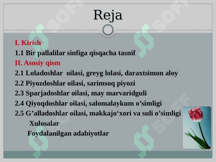 BIR URUG’PALLALILAR SINFI 2