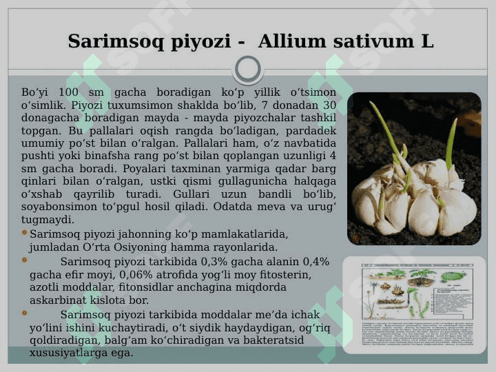 BIR URUG’PALLALILAR SINFI 8