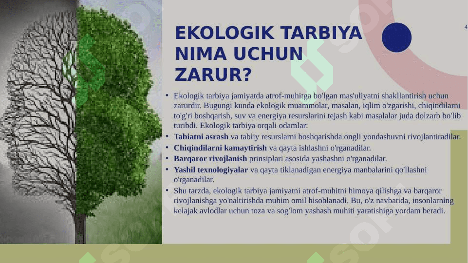 Ekologik tarbiya 4