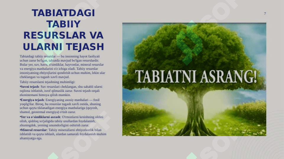 Ekologik tarbiya 7
