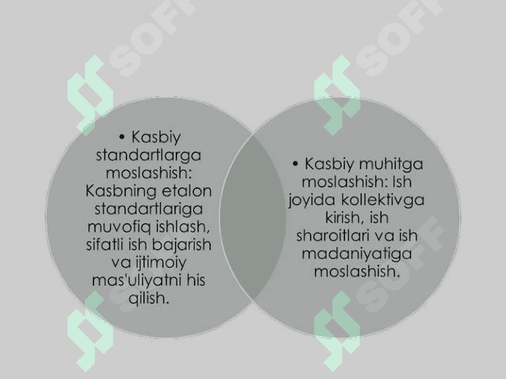 IJTIMOIY PEDAGOGIKANING KASBIY FAOLIYATI 5