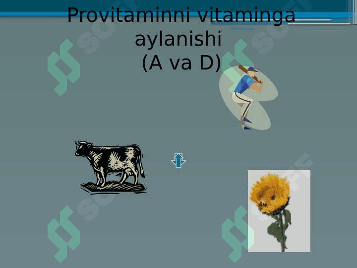 Vitaminlar. “Suvda va yog`da eriydigan vitaminlar 5