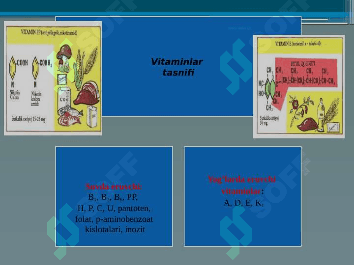 Vitaminlar. “Suvda va yog`da eriydigan vitaminlar 7