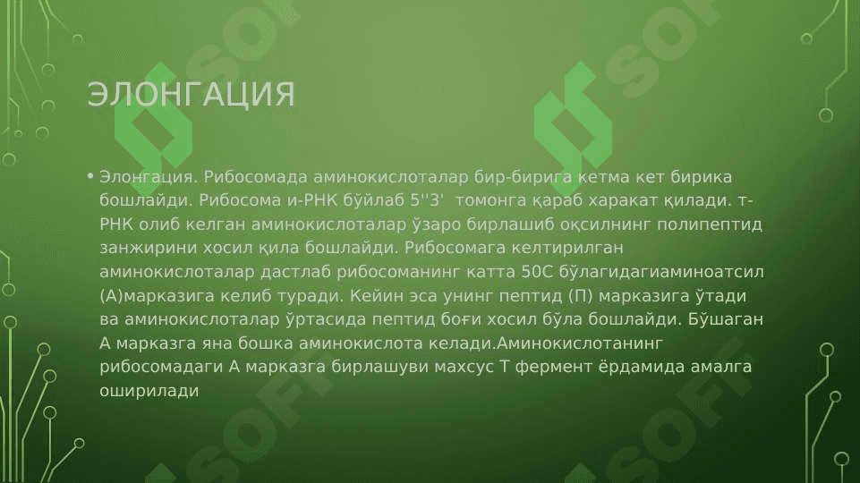ДНК НИНГ ОКСИЛ БИОСИНТЕЗИДАГИ У́РНИ. ГЕНЕТИК ИНЖЕНЕРИЯ. У́ЗГАРУВЧАНЛИК ВА УНИНГ ТУРЛАРИ 6