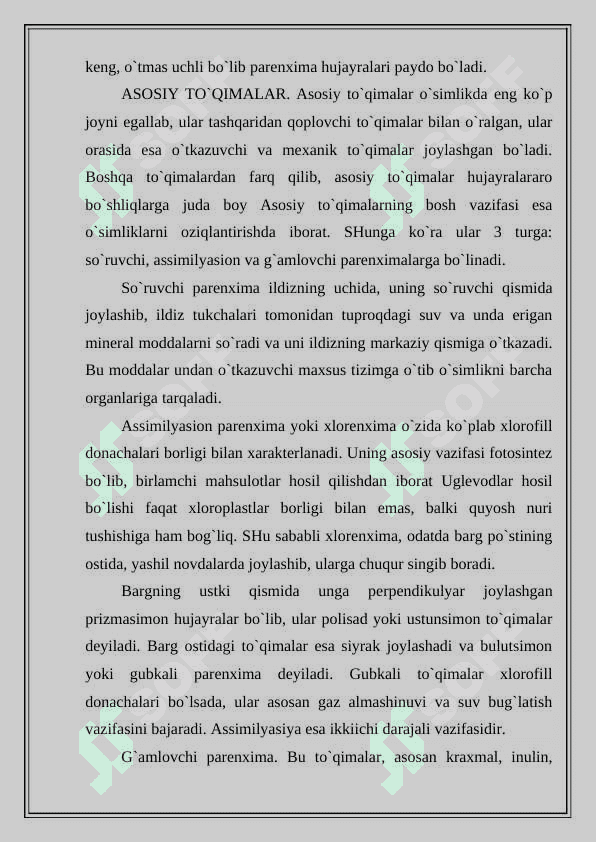 O'SIMLIK TO'QIMALARI O‘TKAZUVCHI NAY TOLALI BOG‘LAMLAR 4