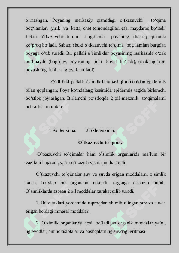 ILDIZ,POYA,BARG METAMARFOZ 8