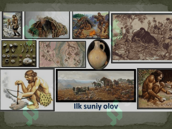 Paleolit davri xo'jaligi va moddiy madaniyati 6