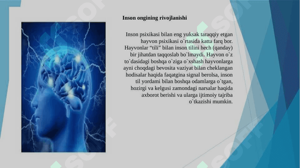 Psixik rivojlanish asosiy omillari.Vigotskiy nazariyasi 2