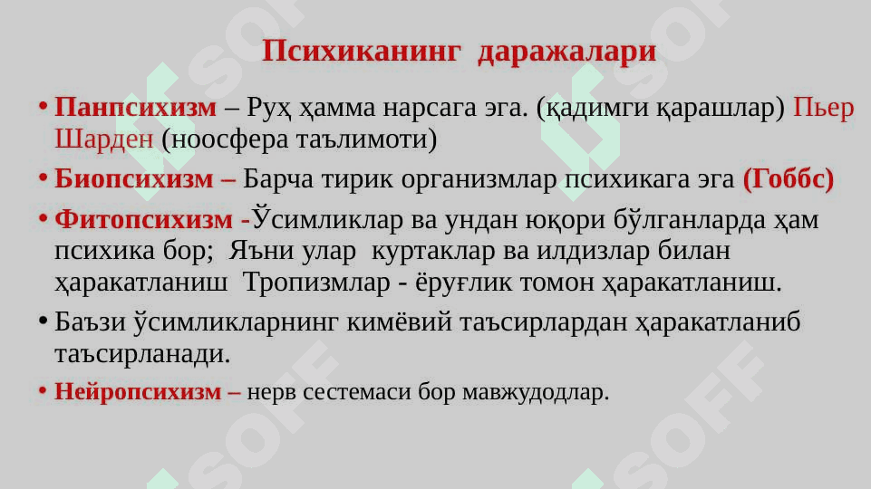 Zoopsixologiya 6