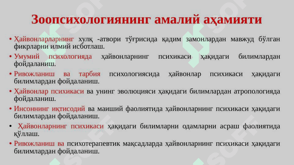 Zoopsixologiya 8