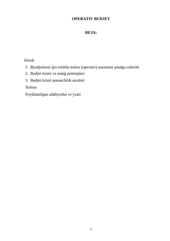 OPERATIV BUDJET