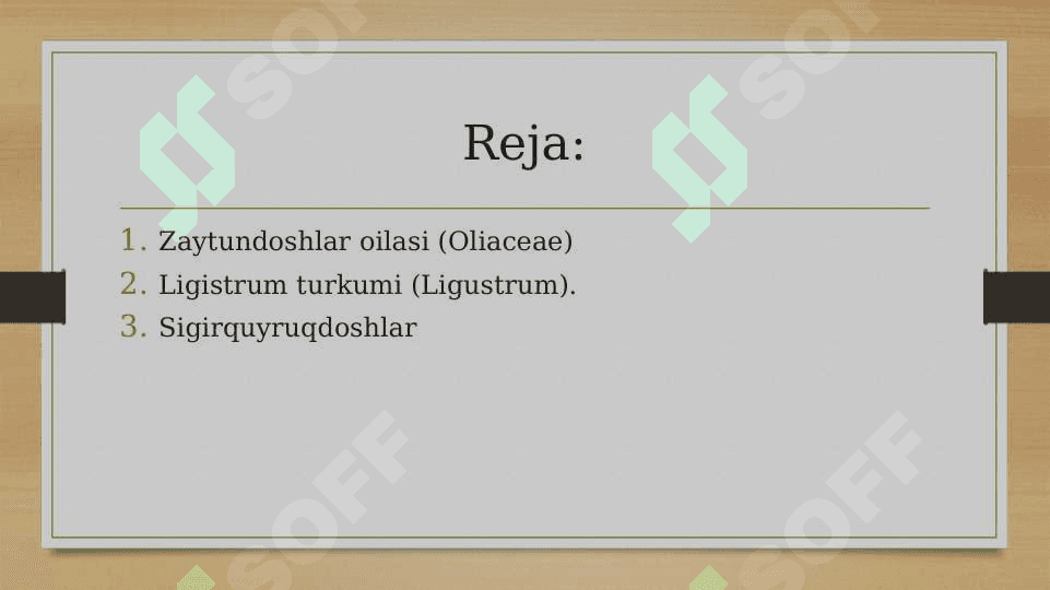 Zubturumdoshlar, zaytundoshlar, sigirquyruqdoshlar oilalaring tasnifi, o‘ziga xos xarakterli xususiyatlari va ahamiyati. 2
