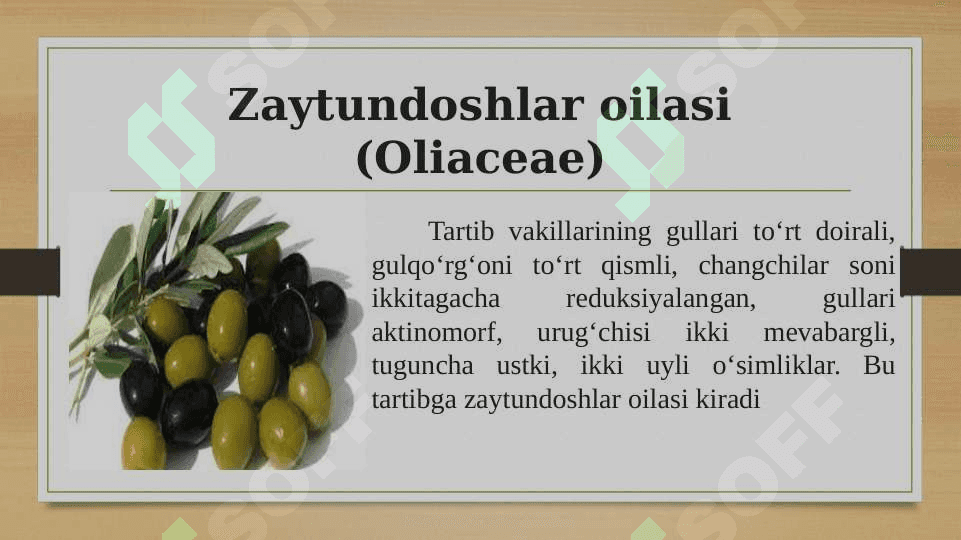 Zubturumdoshlar, zaytundoshlar, sigirquyruqdoshlar oilalaring tasnifi, o‘ziga xos xarakterli xususiyatlari va ahamiyati. 3