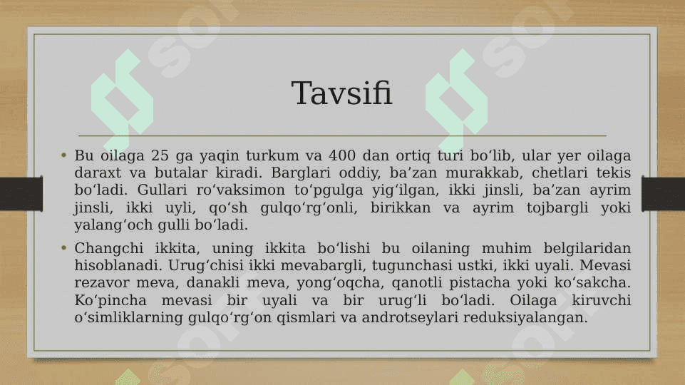 Zubturumdoshlar, zaytundoshlar, sigirquyruqdoshlar oilalaring tasnifi, o‘ziga xos xarakterli xususiyatlari va ahamiyati. 4